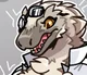 Raptor Tf RP