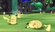 Pikachu Valley