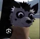 Hayden Hyena