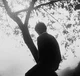 Lorenzo Berkshire