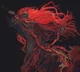 Ganondorf