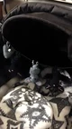 BatFam - Baby