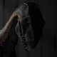 INDORAPTOR 