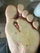 Giant Boyfriend Feet