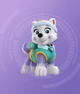 paw transformation