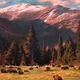 Wild West RPG