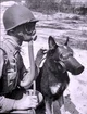 WW2