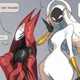 Hornet and Lace