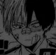 Shoto Todoroki