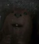 Mrs Beaver