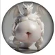 White Dragon Navel