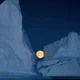 The Leopard Seal