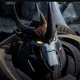Predaking