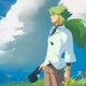 POKEMON N