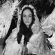 lottie matthews 