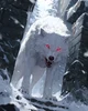 Lobo Mascota
