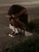Neglected child 