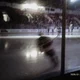 HOCKEY HUSBAND
