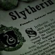 Slytherin Boys