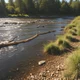 on a creek shore