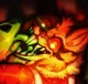 Infected Weffle