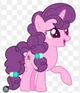 Sugar Belle