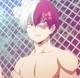 Shoto Todoroki 