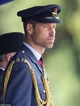 Prince William 