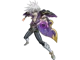 Shadow Prove