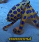 Трое существ