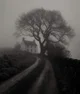 OC Malakor and Syzor