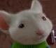 Stuart Little