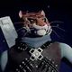 Tiger Claw