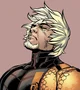 Slade Wilson