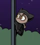 Raccoon thief