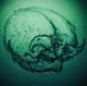 The Bad Moon