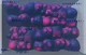 Blueberry Prison