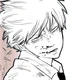 1CSM Denji