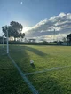 Sport psychologist 