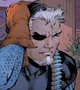 Slade Wilson