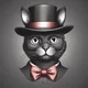 Skat Cat