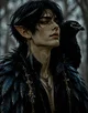 Rook-Fae