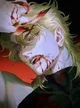 DIO