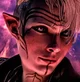 The Inquisitor