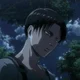 Levi Ackerman 