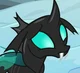 Thorax MLP