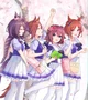 The Sakuras