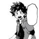Izuku Midoriya 