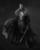 Robb