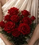 Demigod Dating  